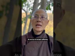 We are addicted to our suffering — Sister Dang Nghiem #buddhism #mindfulness #spiritual #wisdom