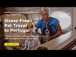 ✈️ Stress-Free Pet Travel to & from Portugal - Travel with your pet by your side!