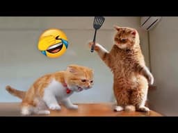 You Laugh You Lose 😍 Funniest Cats and Dogs 2024 😸🐶