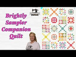 Making a Companion Quilt, the Stitchuation Room, 1/28/25