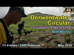 Derwentwater Circular with Marley | Lake District | 4K | May 2024