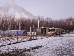 Farmsteading over the New Year. Final milking of Mesa. Cutting wood. Deep freeze sets in.