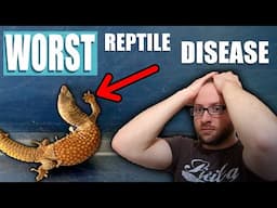 This Reptile Disease SUCKS!