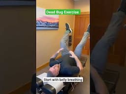 DEAD BUG 🐛 Exercise #lowbackpain #exercise