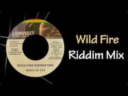 Wild Fire Riddim Mix (2004)