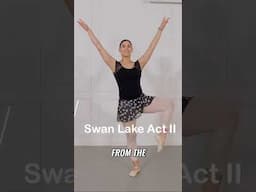 Let’s Learn Swan Lake Together!