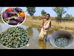 99 years old grandma how collect SMALL SNAIL and cooking with BRINJAL | typical life of tribe people