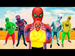 SUPERHERO's Story || Hey All Spider , Take Nerf Gun And Go To Trainning ! (Action)