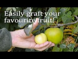 Graft your favourite fruit varieties simply by using a tool