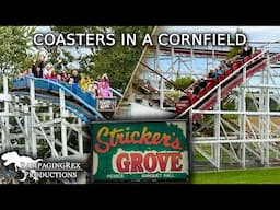 Stricker's Grove is Absolutely Worth Visiting