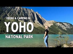 E4: Yoho National Park in September - Dispersed Van Camping & Hiking with a Dog