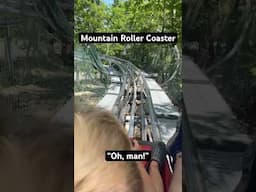 Mountain Roller Coaster #rollercoaster