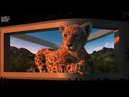 watch the incredible opening film of #FII6 featuring @RCU_KSA 's baby #ArabianLeopard "Amal"