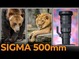 Sigma 500mm F5.6 DG DN OS - Review and Test