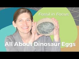 Fossil in Focus: All About Dinosaur Eggs