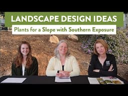 Plant Picks - Plants for a Slope with Southern Exposure