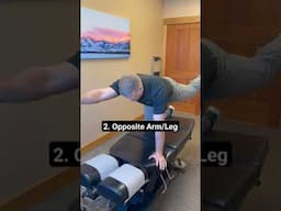 Bird + Dog Exercise | LOW BACK Stabilization #exercise #lowbackpain