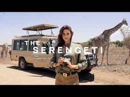 let’s go on my DREAM safari in tanzania  🇹🇿 the nicest hotel in the serengeti