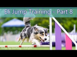 Jump Training Sessions 39-51, Part 8 - Agility Dog Training - Combating Bar Knocking Problems