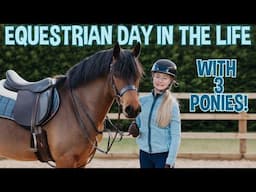 EQUESTRIAN DAY IN THE LIFE!