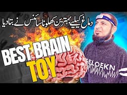 Best Brain Toy | اردو | हिन्दी