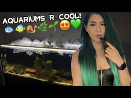 This aquarium is my baby 🤭🥰 WEIRD FISH HAUL!!