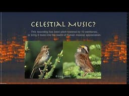 Celestial Music?