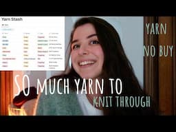 No Stash Challenge Organization and Rules (Yarn No Buy 2)