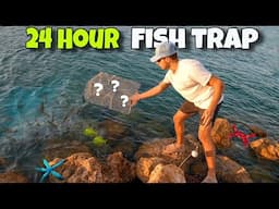 24 Hour FISH TRAP Catches SALTWATER FISH!!