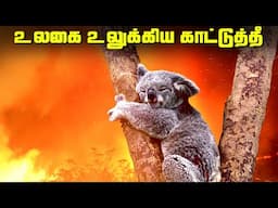 உலகை உலுக்கிய காட்டுத்தீ - Top 3 Wildfires