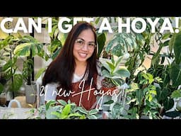 Epic Hoya Haul: 21 Stunning New Varieties Unboxed! ✨🌿