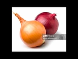 funny onion song