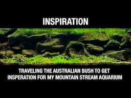 Come on a Journey with me to get Inspiration for my Australian Mountain Stream Aquarium Biotope.