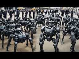 Robots in Everyday Life in China: Shocking Tech Dominance