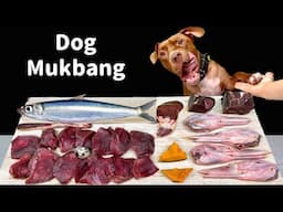 BEST ASMR MUKBANG DOG EATING RAW FOODS