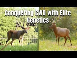 Woodard Whitetails: Conquering CWD with Elite Genetics