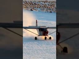 Short landing and short takeoff from snow in the Zenith STOL