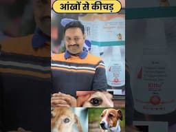 Dog ki Aankhon mein kichad aana   #dogcareandcure