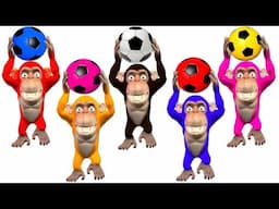 Funny Monkeys Plays With Soccer Balls Swimming Pool - Five Little Monkeys Nursery Rhymes Songs