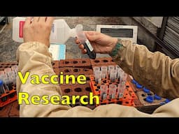 Vaccine Research With Our Colonies