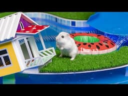 🐹 Hamster Escapes the Pool Maze for Pets 🐹