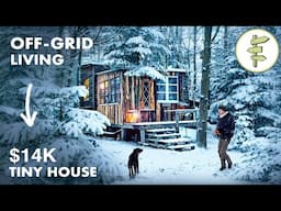 Self-Sufficient Man Built an Off-Grid Tiny House Homestead & Lives on a Minimal Budget