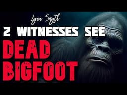 2 WITNESSES SEE DEAD BIGFOOT AND PLENTY MORE TRUE BIGFOOT ENCOUNTER STORIES