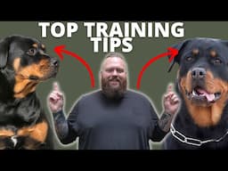 3 TIPS FOR TRAINING YOUR ROTTWEILER