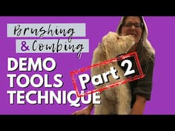 How to Brush and Comb Your Dog: Tools, Tips, and Demo - Part 2