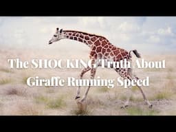 The SHOCKING Truth About Giraffe Running Speed