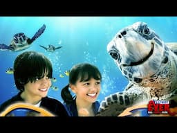 TURKLES - An Unforgettable Journey To Save The Sea Turtles | Full FAMILY ADVENTURE Movie HD