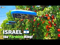 How Israel became the KING of Agriculture while surrounded by Enemies