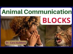 How to Clear Your Chakra Blocks to Animal Communication