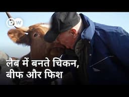 जानवर पालना होगा बंद, मांस बनेगा लैब में [Fake Steak: Taste of Future Food] | DW Documentary हिन्दी